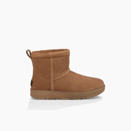 UGG Classic Mini Weather Brown Boots for Women (ADRG72513)